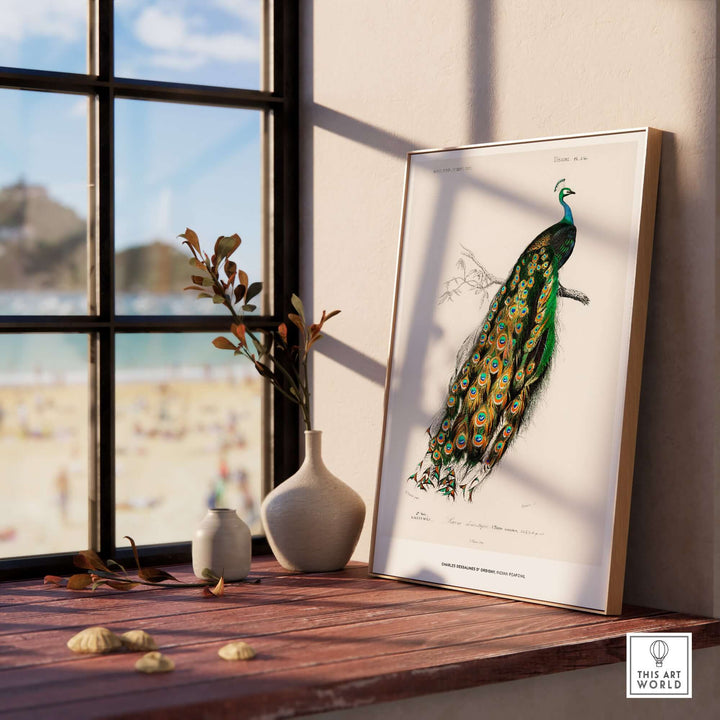 Framed vintage peafowl illustration by Charles d'Orbigny on a windowsill with beach view, showcasing vibrant colors and details.