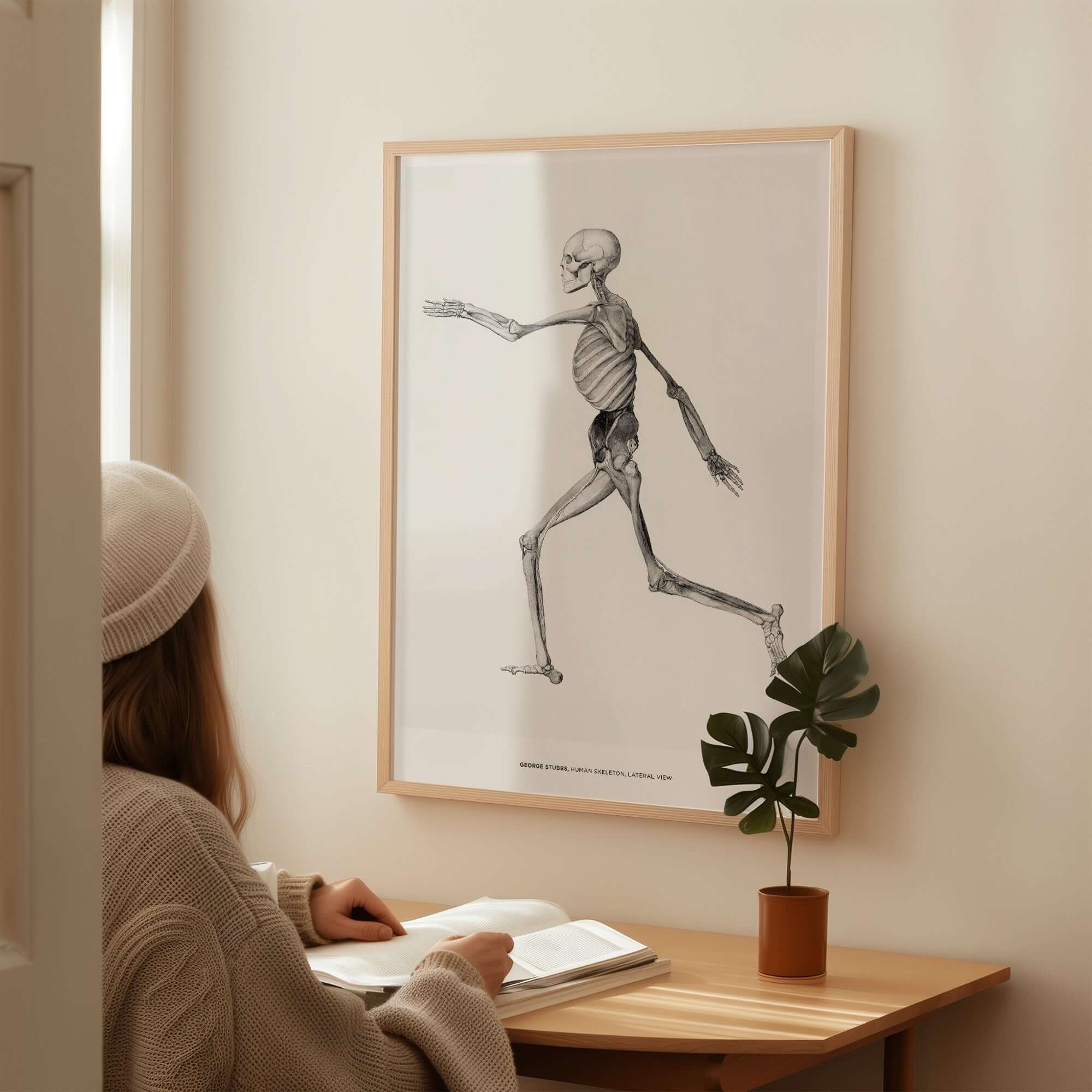 Exhibition Art Print George Stubbs Human Skeleton Lateral View Anatomy Poster displayed in a cozy interior setting.