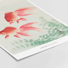 Exhibition Art Print Ohara Koson Two Veil Goldfish Japanese Fish Poster featuring gracefully swimming goldfish.