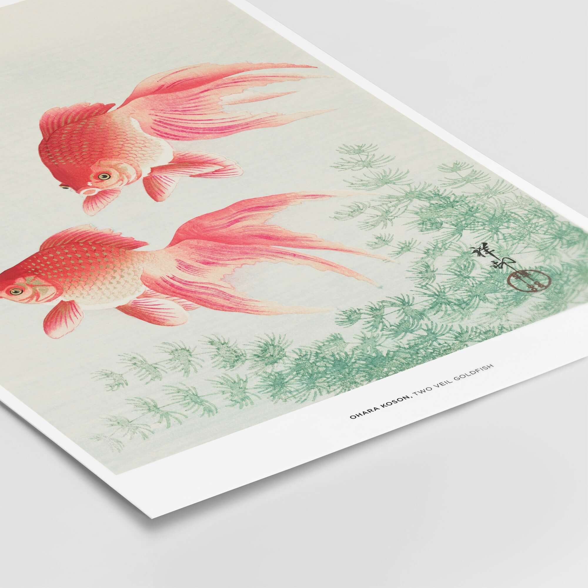 Exhibition Art Print Ohara Koson Two Veil Goldfish Japanese Fish Poster featuring gracefully swimming goldfish.