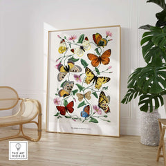 Paul Servais Butterflies Le Jardin des Plantes Vintage Botanical Wall Art showcasing colorful butterflies and pink flowers.