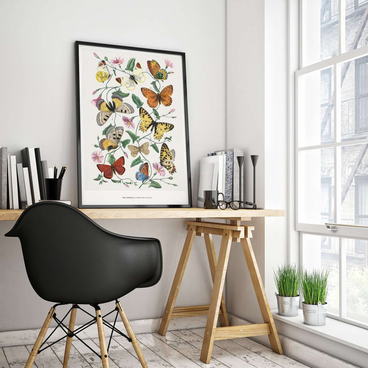 Vintage botanical print of colorful butterflies by Paul Servais in a modern home office setting.