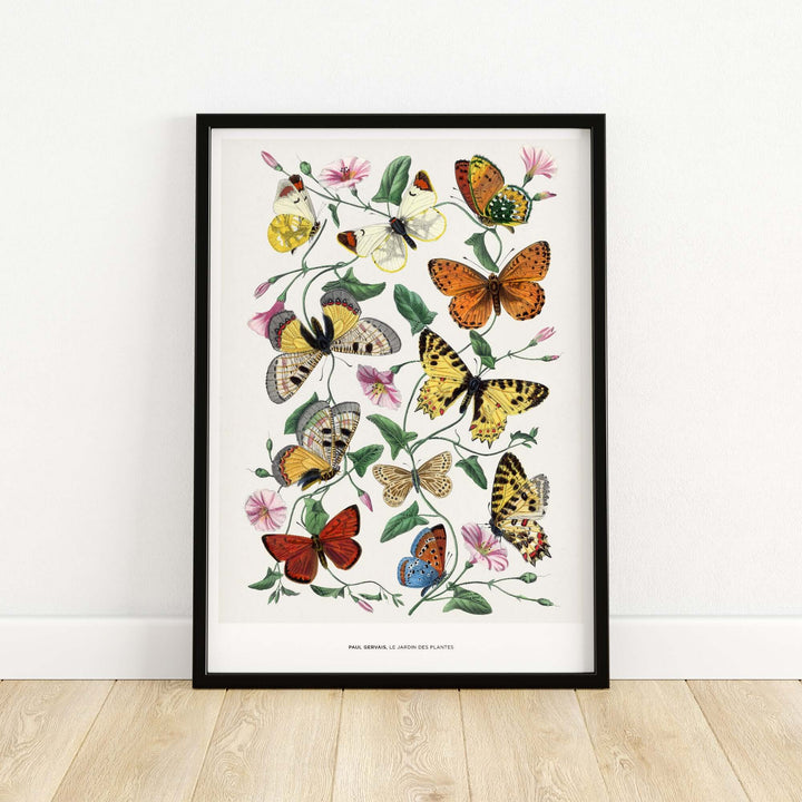 Vintage botanical art print by Paul Servais showcasing butterflies and flowers, perfect for home decor.