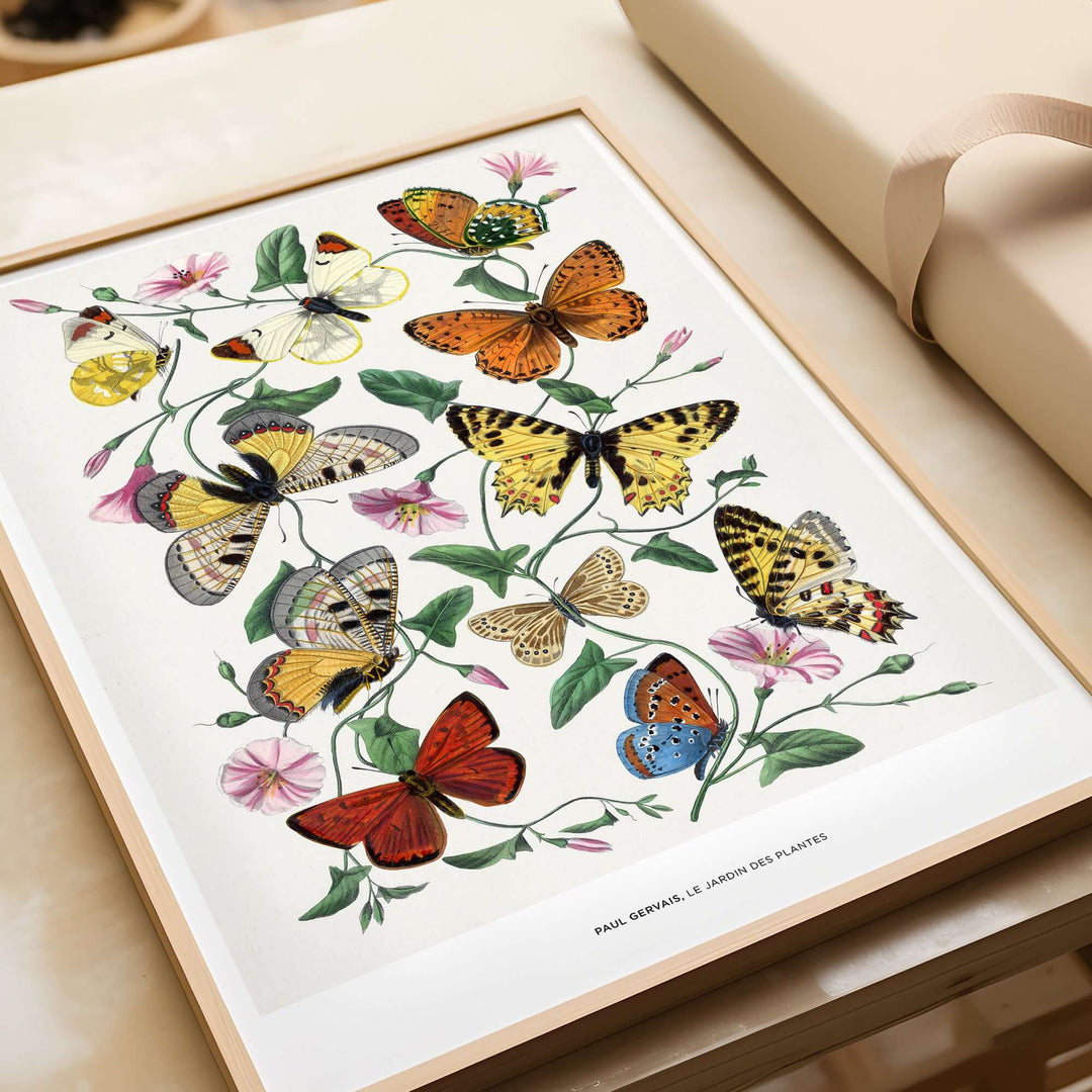 Vintage botanical art print by Paul Servais showcasing colorful butterflies and delicate flowers.
