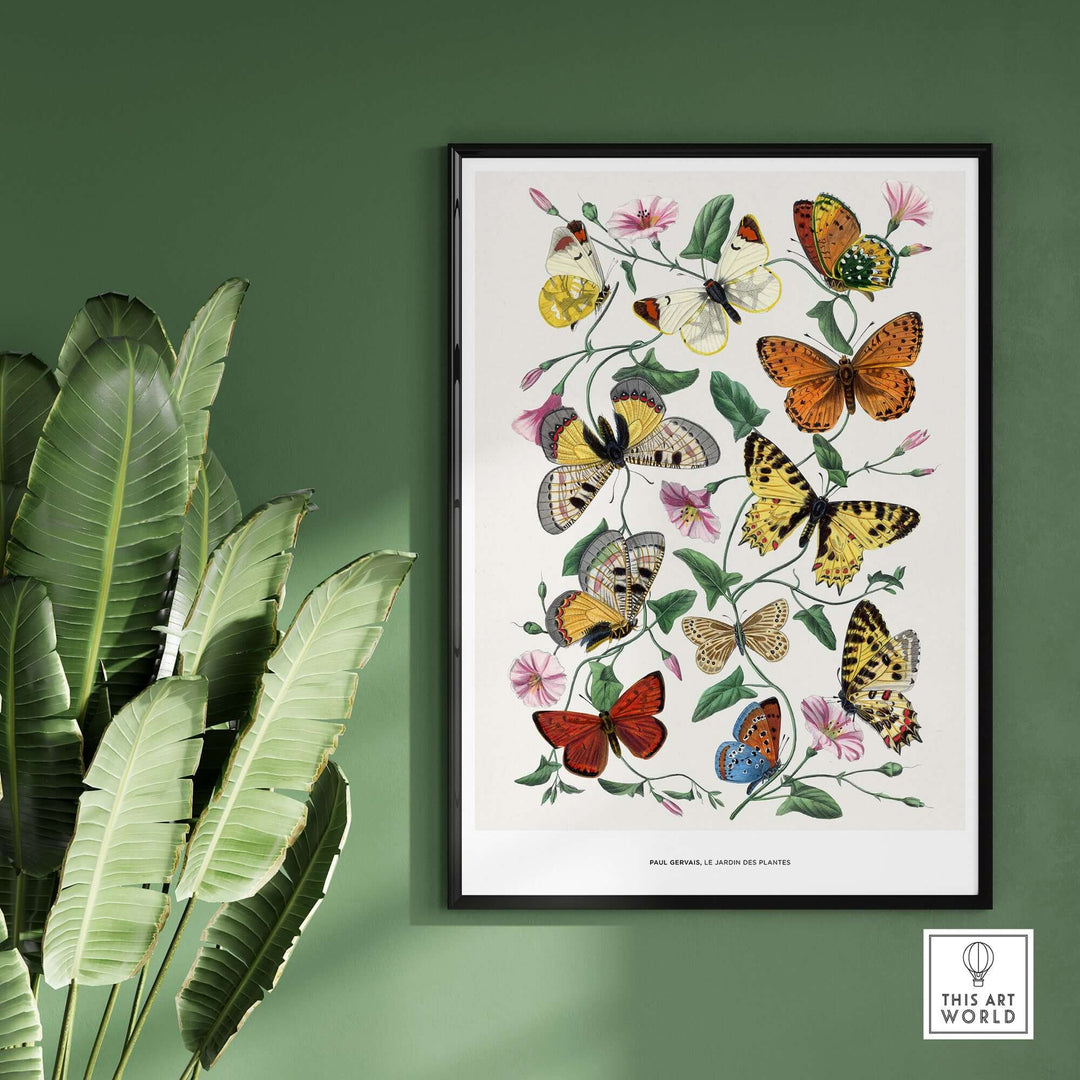 Vintage botanical art print by Paul Servais featuring colorful butterflies and pink flowers on a green wall.