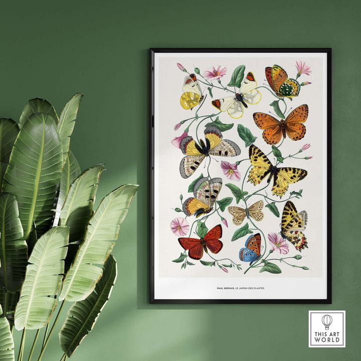 Vintage botanical art print by Paul Servais featuring colorful butterflies and pink flowers on a green wall.