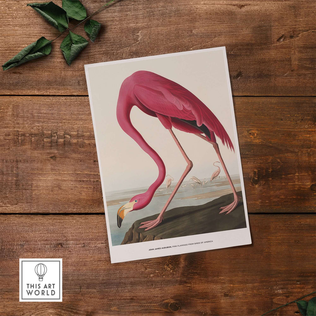 Exhibition art print of a pink flamingo by John James Audubon, showcasing vibrant nature and vintage ornithological artistry.