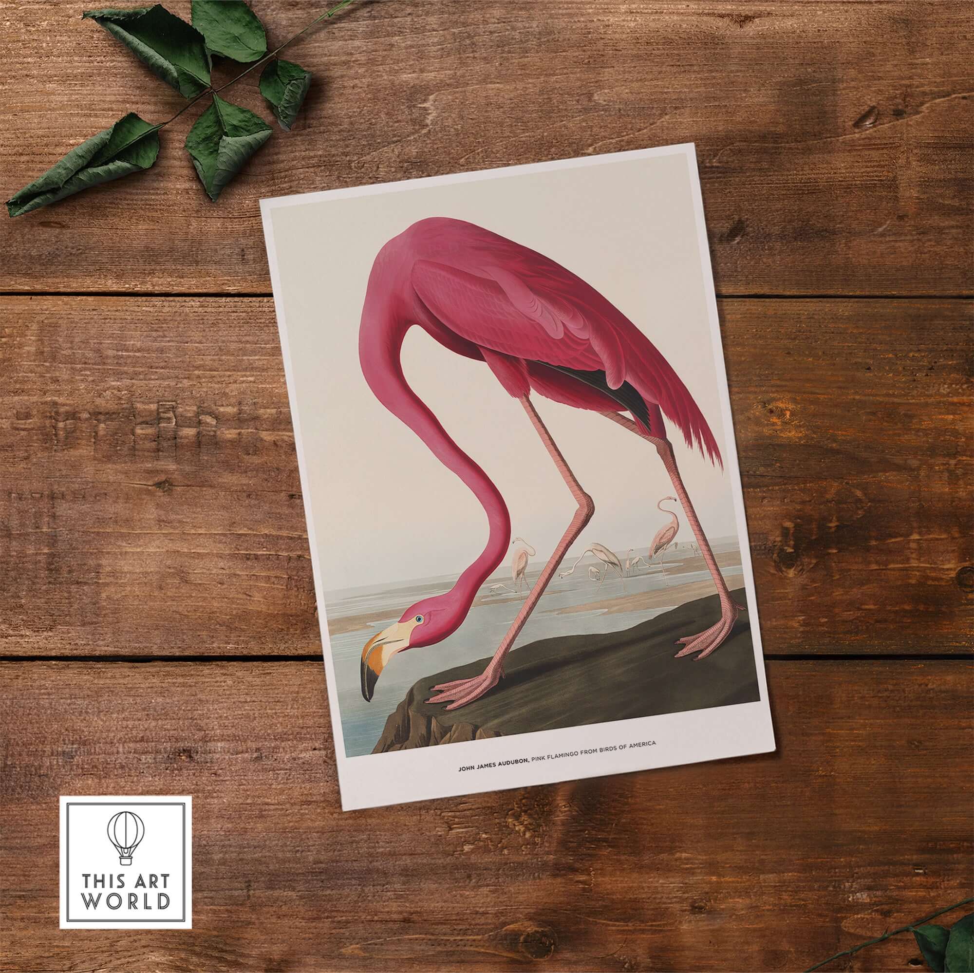 Exhibition Art Print Pink Flamingo Birds of America Vintage Bird Poster - John James Audubon displayed on wooden surface.