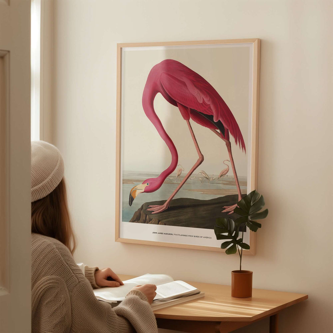Woman admiring vintage pink flamingo art print by John James Audubon in a stylish interior.