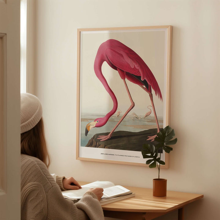 Woman admiring vintage pink flamingo art print by John James Audubon in a stylish interior.
