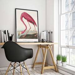 Exhibition Art Print Pink Flamingo Birds of America Vintage Bird Poster - John James Audubon displayed in a modern home office.