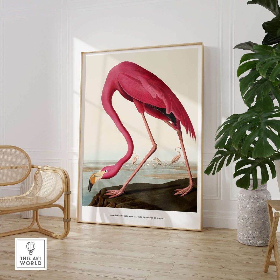 Vibrant Exhibition Art Print of Pink Flamingo by John James Audubon in a stylish interior setting.