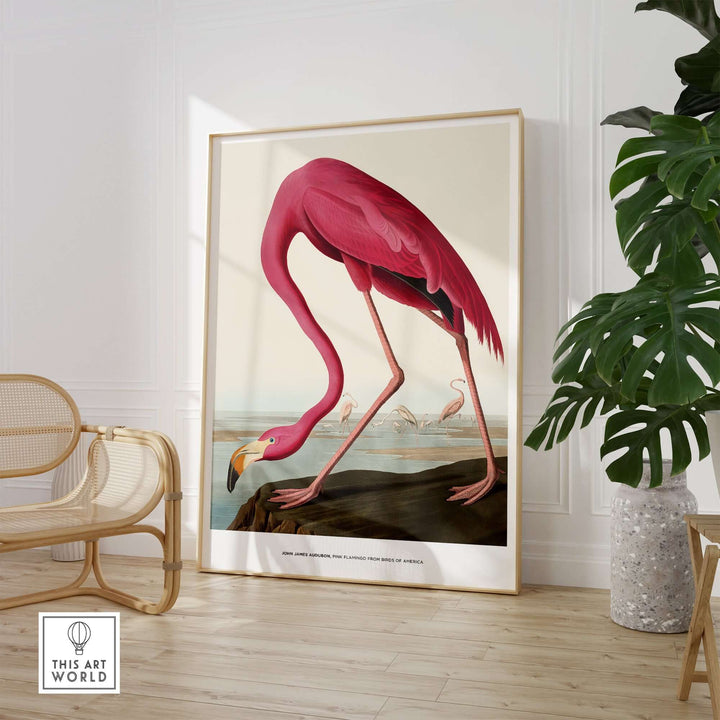 Vibrant Exhibition Art Print of Pink Flamingo by John James Audubon in a stylish interior setting.