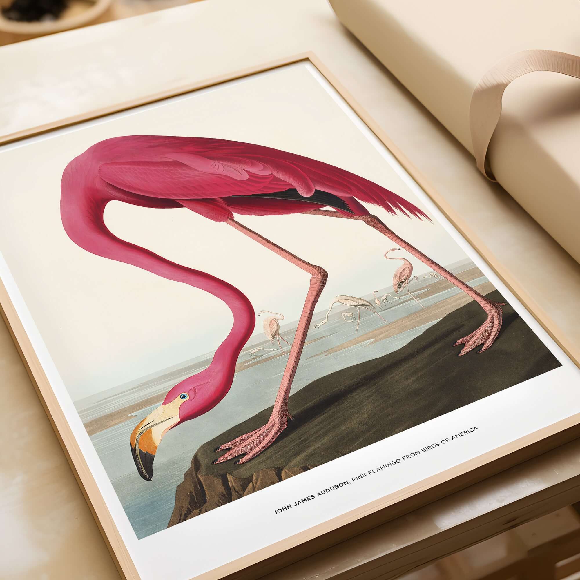 Exhibition Art Print Pink Flamingo Birds of America Vintage Bird Poster - John James Audubon displayed on a table.