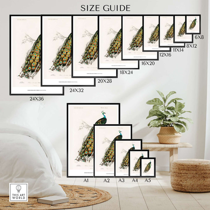 Size guide for Indian Peafowl vintage art print in various dimensions displayed in a stylish room.