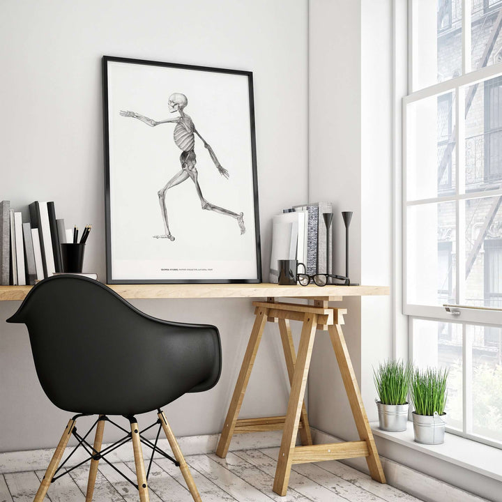 George Stubbs Human Skeleton Lateral View Anatomy Poster in a modern office setting with a black chair and bookshelf.