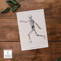 Exhibition Art Print George Stubbs Human Skeleton Lateral View Anatomy Poster on wooden surface