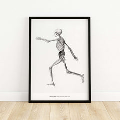 Exhibition Art Print George Stubbs Human Skeleton Lateral View Anatomy Poster framed art depicting human skeleton in motion.
