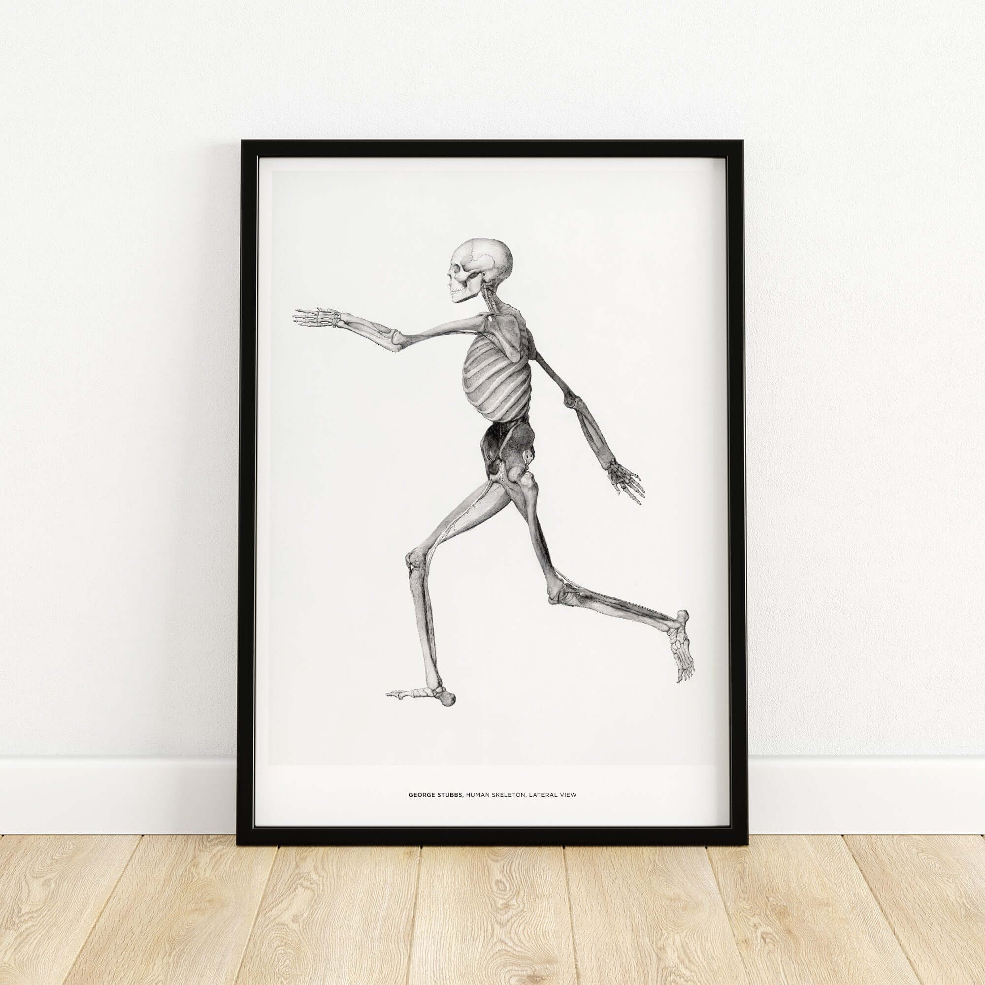 Exhibition Art Print George Stubbs Human Skeleton Lateral View Anatomy Poster framed art depicting human skeleton in motion.