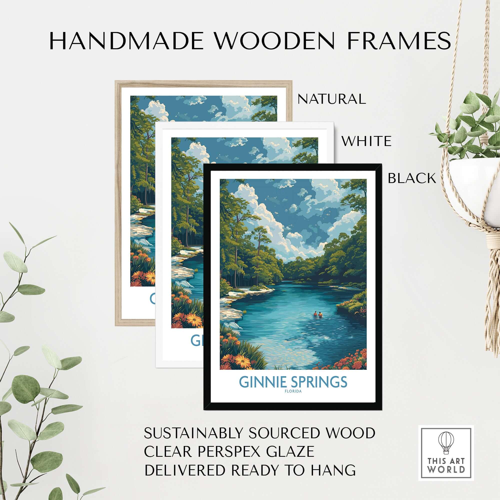 Ginnie Springs Florida Clear Water Art Print | Swimming Hole Nature Poster framed in handmade wooden frames in various finishes.