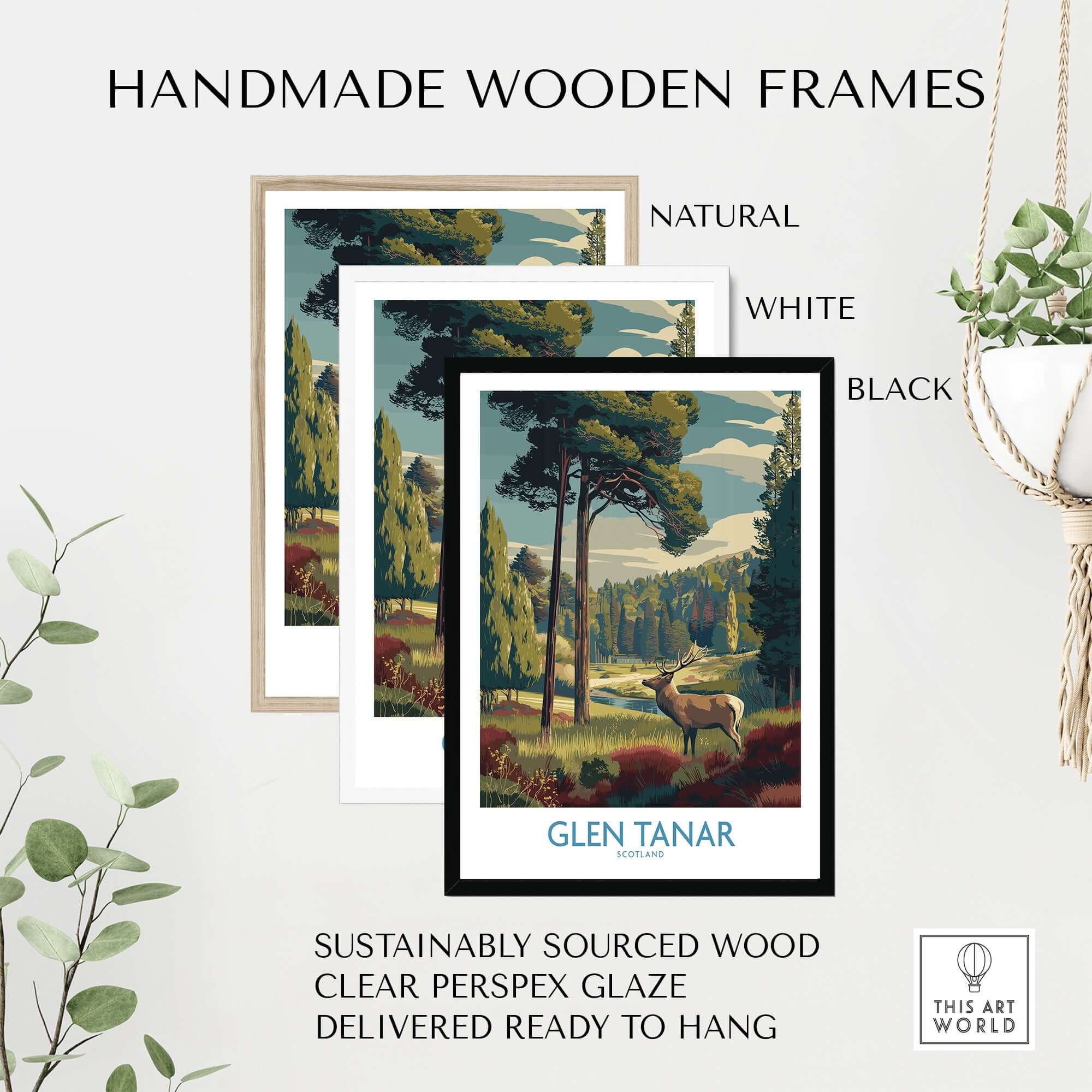 Glen Tanar Art Print displayed in handmade natural, white, and black wooden frames, perfect for enhancing home decor.