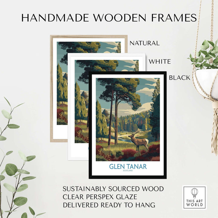 Glen Tanar art print displayed in handmade wooden frames: natural, white, and black options for stylish home decor.
