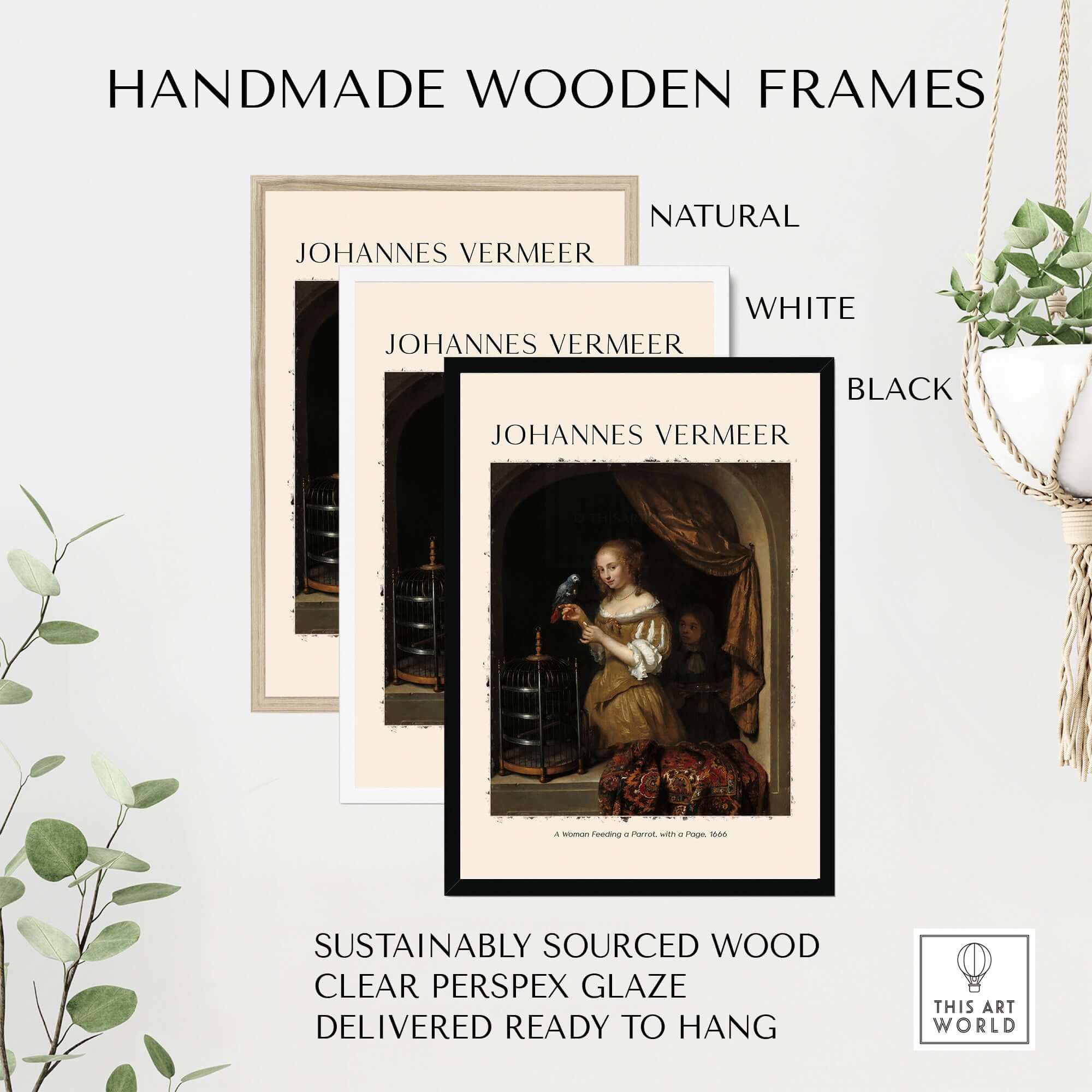 Handmade wooden frames for Johannes Vermeer A Woman Feeding Parrot - Dutch Golden Age Art Print Poster in natural, white, and black.