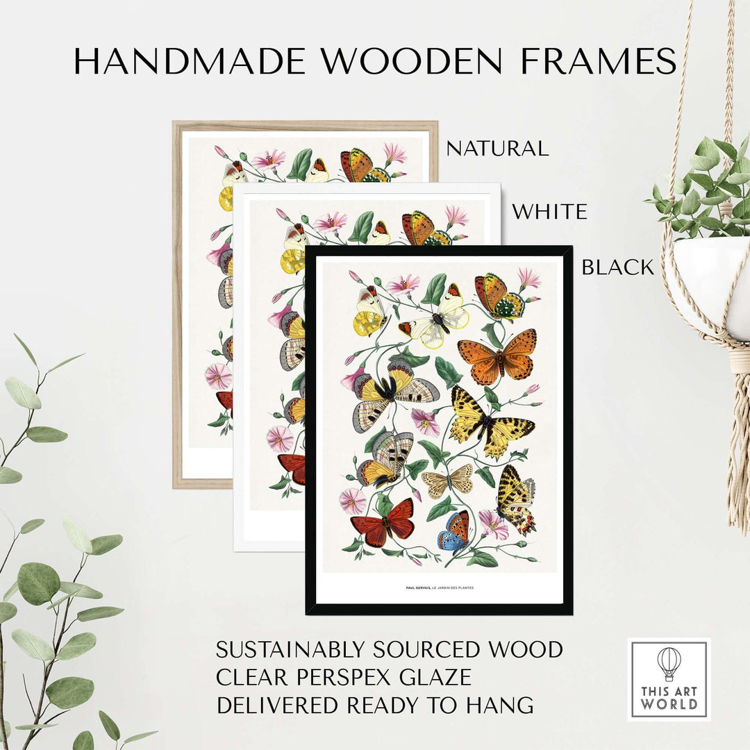 Handmade wooden frames in natural, white, and black for vintage butterfly art print, ready to hang and sustainably sourced.
