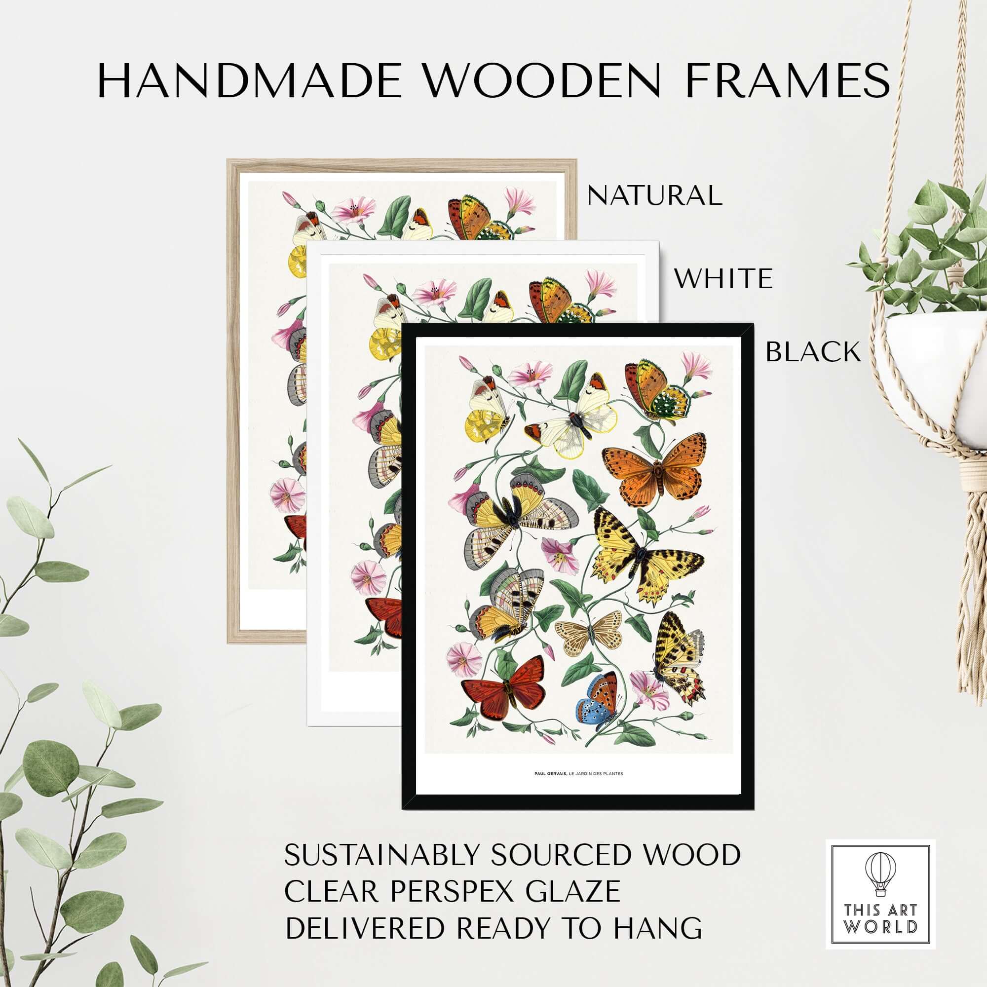 Paul Servais Butterflies Le Jardin des Plantes Vintage Botanical Wall Art in handmade wooden frames.