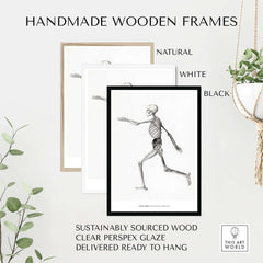 Exhibition Art Print George Stubbs Human Skeleton Lateral View Anatomy Poster framed in handmade wooden frames.