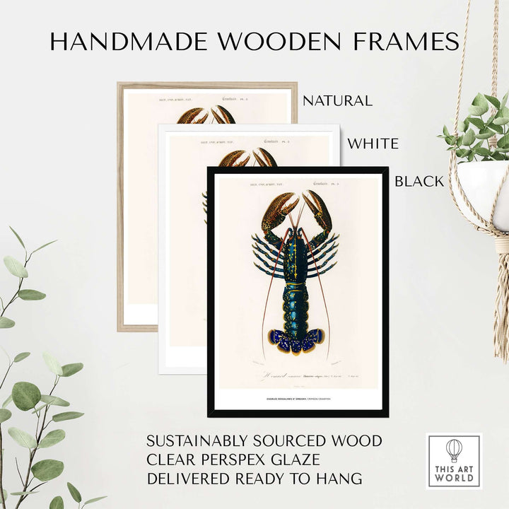 Handmade wooden frames in natural, white, and black for lobster art print, sustainably sourced and ready to hang.