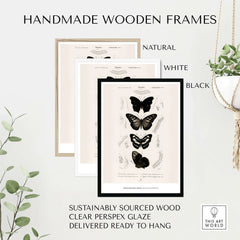 Exhibition Art Print Charles d'Orbigny Butterflies Vintage Entomology Poster Wall Art in handmade wooden frames.