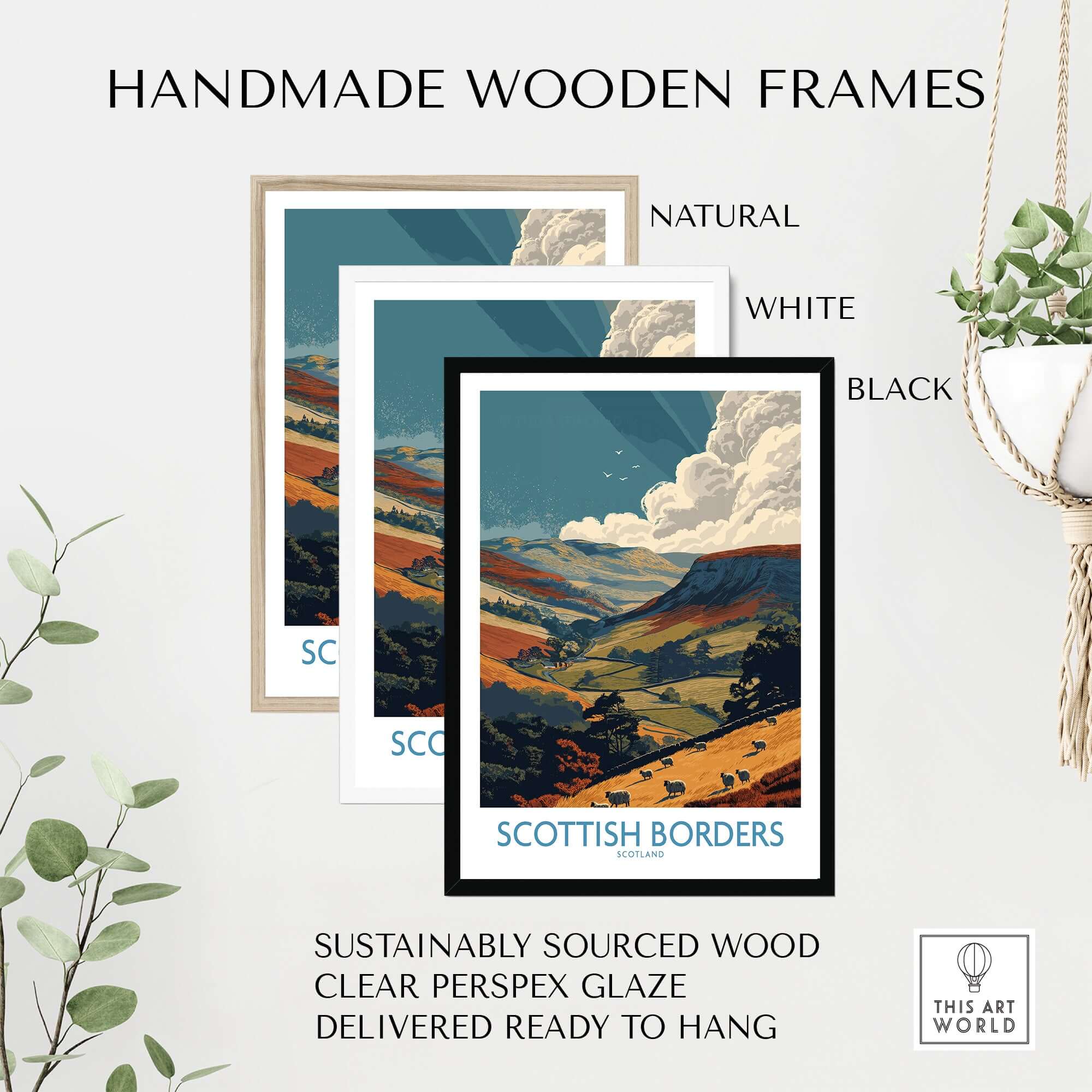 Handmade wooden frames in natural, white, and black colors for Scotland Valley Landscape Travel Print Scottish Borders Sheep Poster.