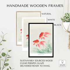Exhibition Art Print Ohara Koson Two Veil Goldfish Japanese Fish Poster displayed in handmade wooden frames.