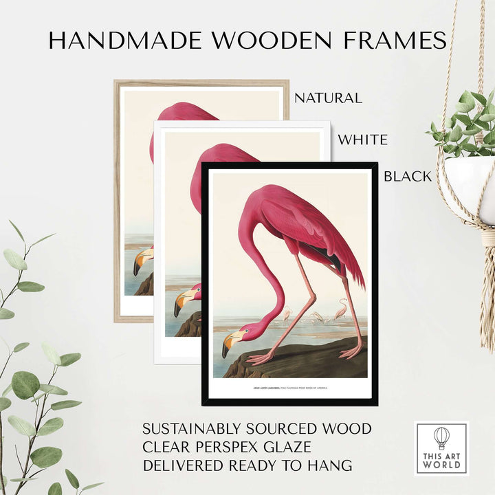 Handmade wooden frames for pink flamingo art prints in natural, white, and black finishes, featuring clear perspex glaze.