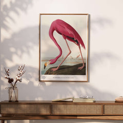Exhibition Art Print Pink Flamingo Birds of America Vintage Bird Poster - John James Audubon displayed in a stylish interior.