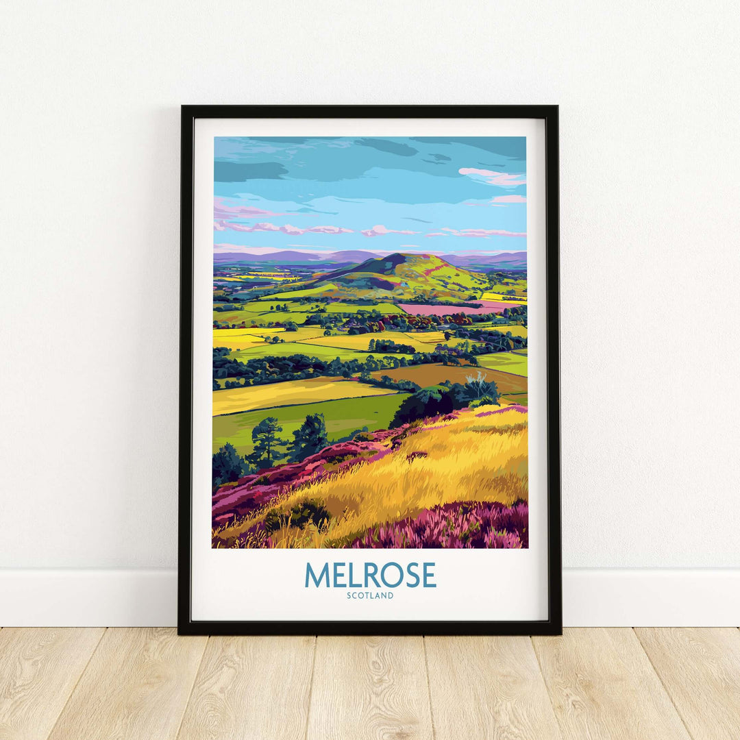 Melrose Scotland Eildon Hills travel print, Scottish Borders wall art featuring vibrant landscape and blooming heather.
