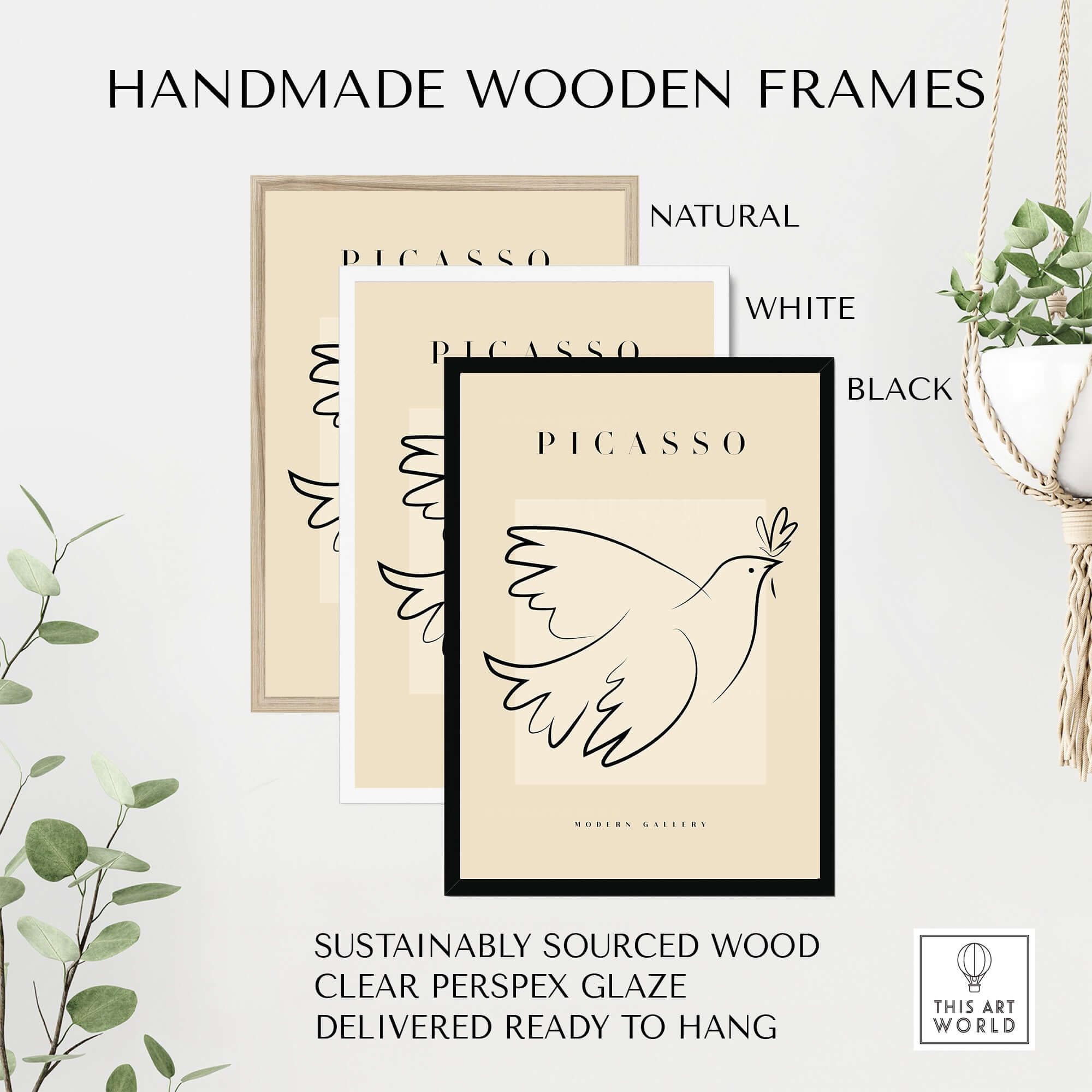 Picasso Dove of Peace Olive Branch Line Art Poster Modern Gallery Print in handmade wooden frames, sustainable wood, soft colors.
