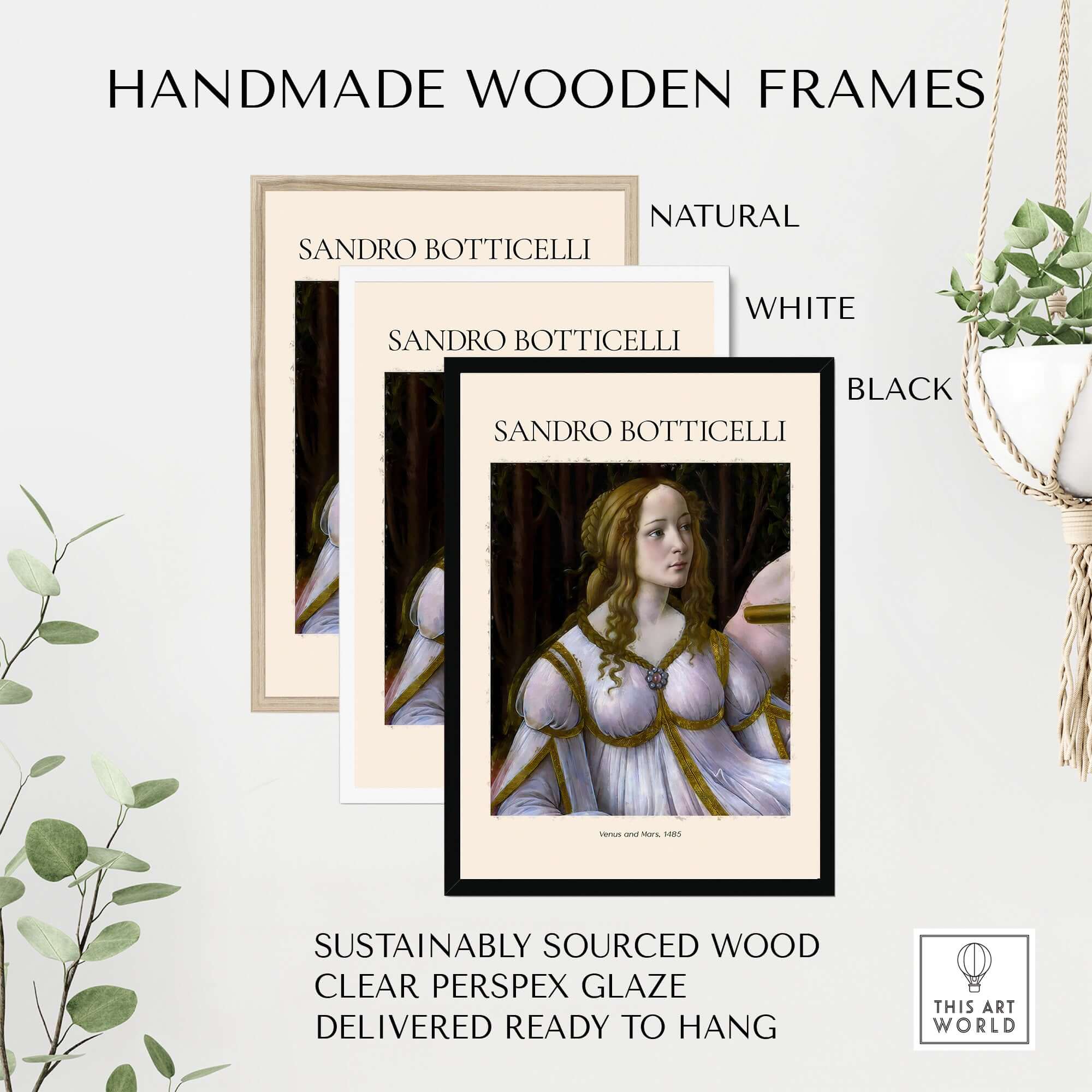 Botticelli Venus and Mars Detail Art Print Renaissance Portrait Poster Wall Art framed in natural, white, and black handmade wooden frames.