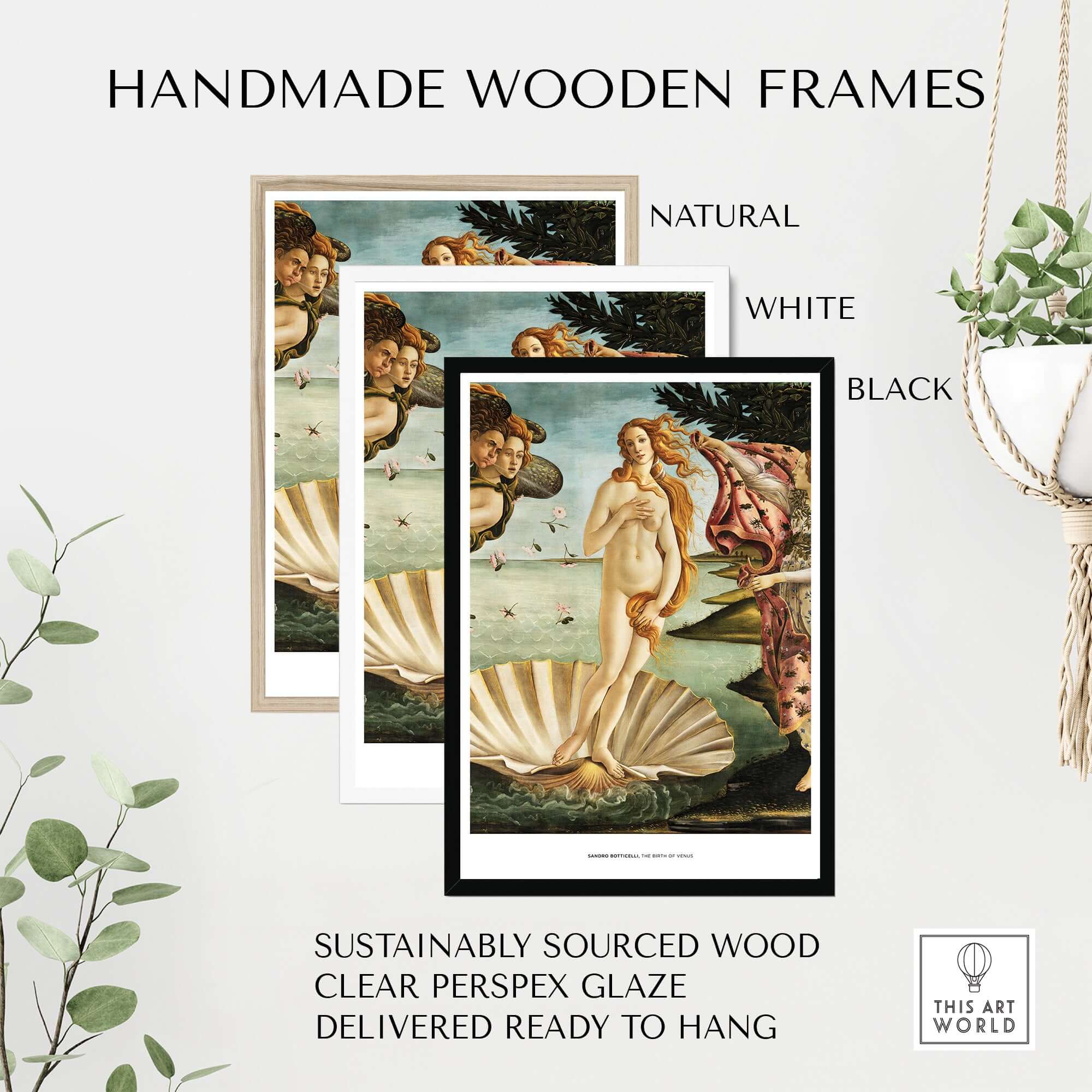 The Birth of Venus Art Print Sandro Botticelli Mythology Poster framed in natural, white, and black handmade frames.