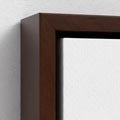 Brown Frame