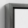Silver Frame