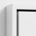 White Frame